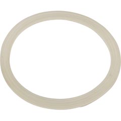 Gasket, Flat, Waterway Poly Storm Jet 55-270-2498